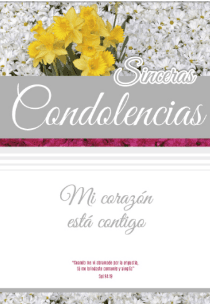 Tarjeta mediana - Pura Vida Books