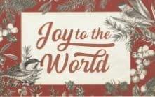 Tarjetas de felicitación diseño con texto "Joy to the world" - Pura Vida Books