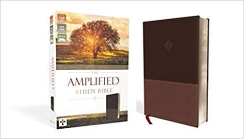 The Amplified Study Bible, Leathersoft, Brown [Large Print] Imitation Leather - Pura Vida Books