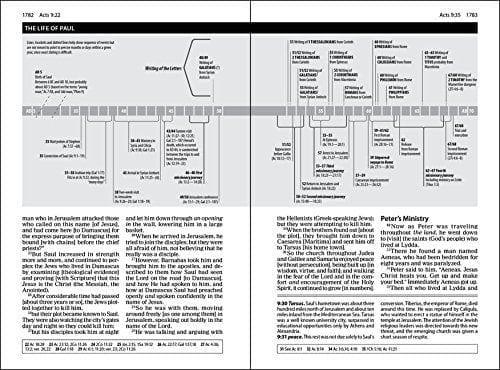 The Amplified Study Bible, Leathersoft, Brown [Large Print] Imitation Leather - Pura Vida Books