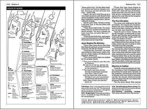 The Amplified Study Bible, Leathersoft, Brown [Large Print] Imitation Leather - Pura Vida Books