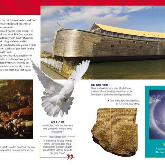 The Bible Explorer's Guide People and Places: 1,000 Amazing Facts and Photos - Pura Vida Books