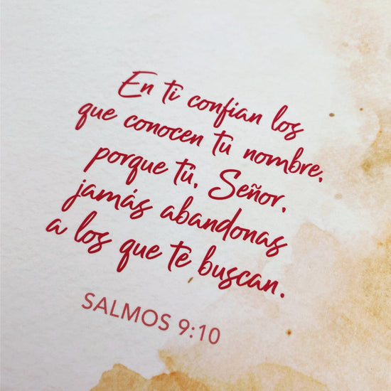 Un año en los Salmos 365 devocionales para tu caminar con Dios - Pura Vida Books