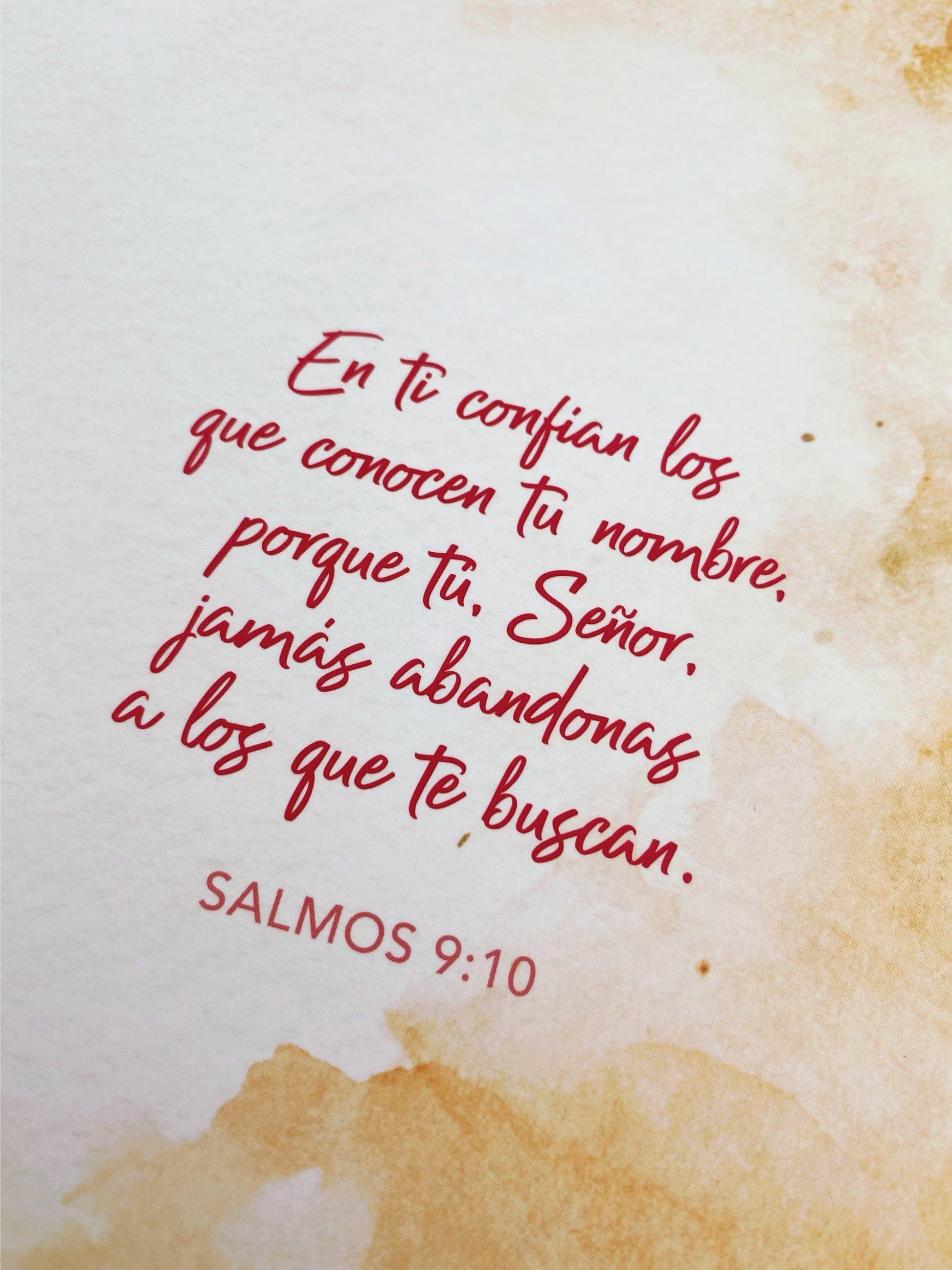 Un año en los Salmos 365 devocionales para tu caminar con Dios - Pura Vida Books