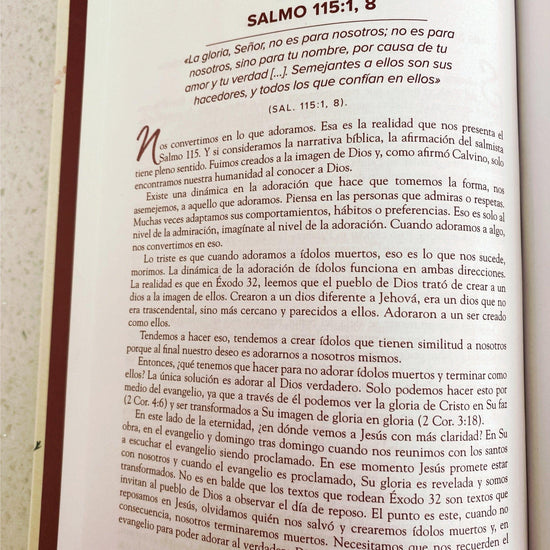 Un año en los Salmos 365 devocionales para tu caminar con Dios - Pura Vida Books